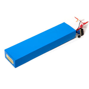 Li-ion Battery, 48V (L Series L5/L5+)