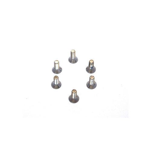 Rear Tire Flat Head Screw for 6